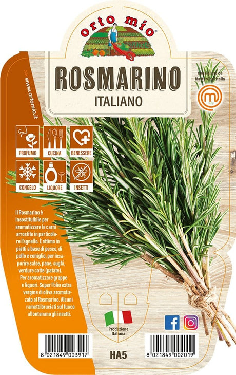 Rosmarino - 1 pianta v.14 cm - Orto Mio Orto Mio (2497884)