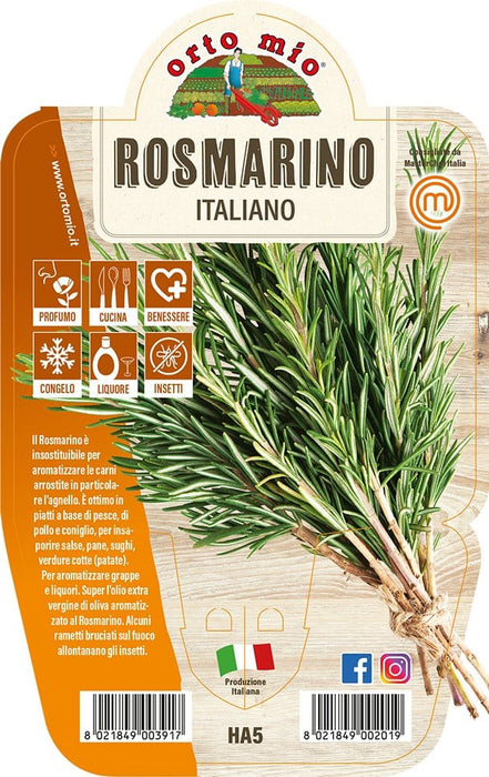 Rosmarino - 1 pianta v.14 cm - Orto Mio Orto Mio