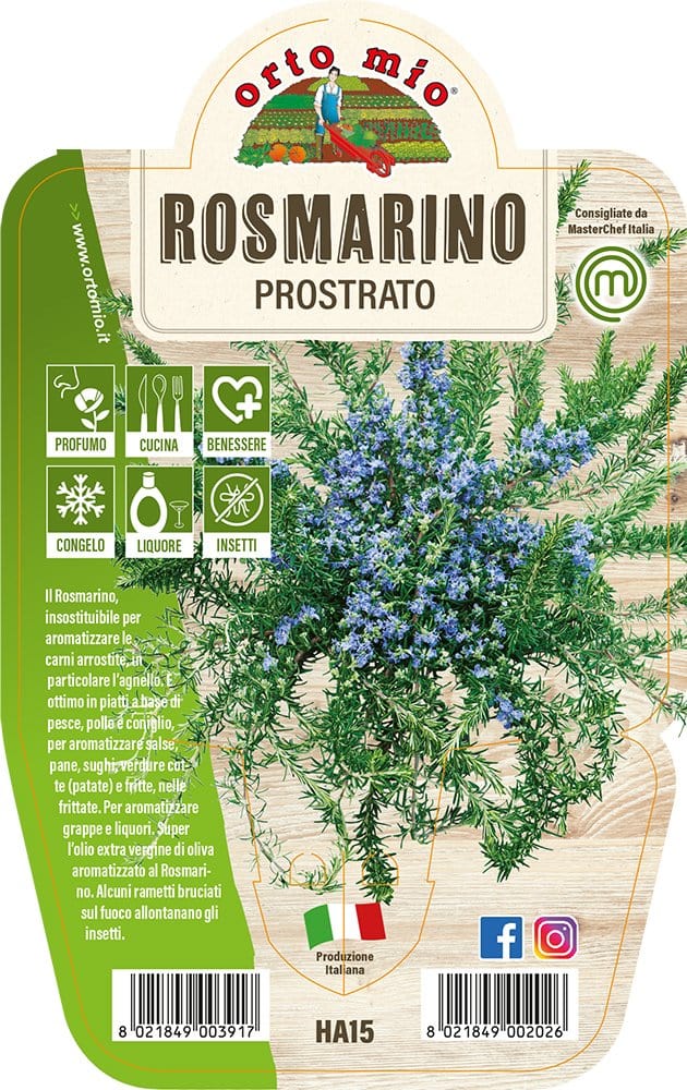 Rosmarino Prostrato - 1 pianta v.14 cm - Orto Mio Orto Mio (2497885)