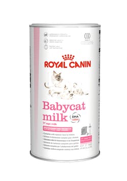 Royal Canin Baby cat milk - Latte in polvere gattini 300 gr + biberon Royal Canin (2497904)