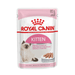 Royal Canin Kitten Gelatina - 1 bustina 85 gr Royal Canin (2497954)