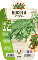 Immagine illustrativa: Rucola selvatica Athena. La pianta ricevuta può avere dimensioni e sviluppo diversi.