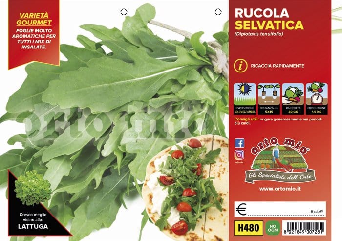 Rucola selvatica Letizia - 6 piante - Orto Mio Orto Mio (2498092)