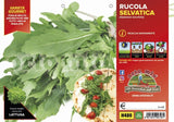 Immagine illustrativa: Rucola selvatica Athena. La pianta ricevuta può avere dimensioni e sviluppo diversi.