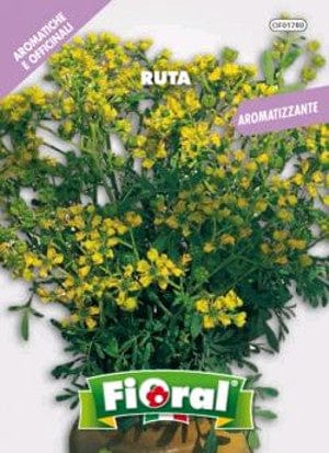 Rue - Medicinal plant seeds - Flower – Millstore.it