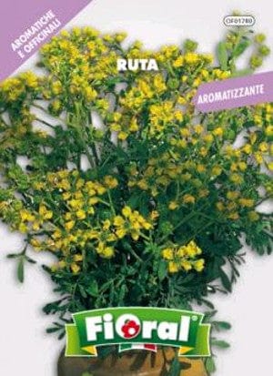 Ruta - Sementi pianta Officinale - Fioral Fioral