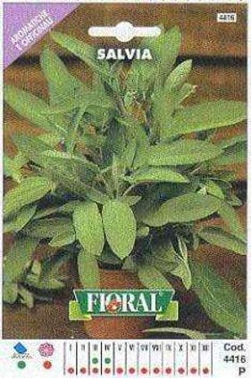 Salvia - Busta Sementi Aromatica Fioral (2498138)