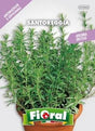Santoreggia Officinale - Semi di aromatica - Fioral Fioral (2498172)