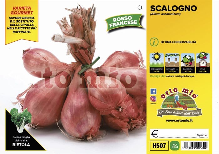 Scalogno rosso francese Conservor F1 - 6 piante - Orto Mio Orto Mio (2498239)