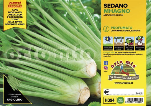 Sedano profumato Mhagno F1 - 6 piante - Orto Mio Orto Mio (2498289)