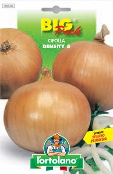 SEMI ORTO CIPOLLA TEXAS- 10,0 Pz - Foto 7