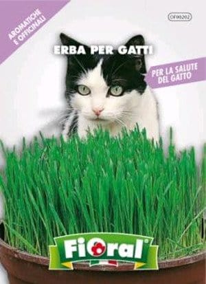 Semi di Erba per gatti - Fioral Fioral (2498323)