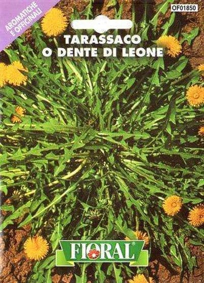 Semi di Tarassaco o Dente di Leone - Fioral Fioral (2498332)