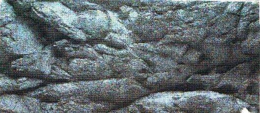 Sfondo rocce al metro carta plastificata per Acquario - 150 x h 48 cm Askoll