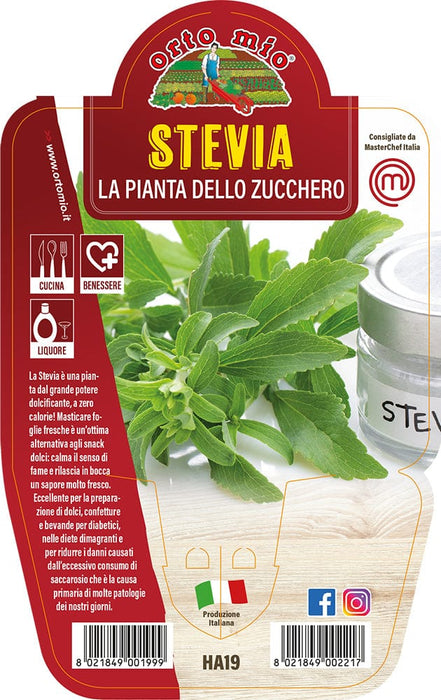 Stevia pianta dello Zucchero - 1 pianta v.14 cm - Orto Mio Orto Mio (2498685)