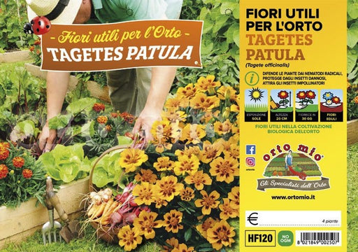 Tagete Fiore utile - 4 piante - Orto Mio Orto Mio (2498885)