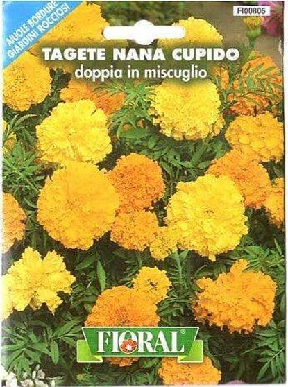 Tagete Nana Cupido Doppia Miscuglio In Busta Fioral (2498887)