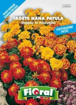 Tagete Nana Patula in Miscuglio - Fioral Fioral (2498889)