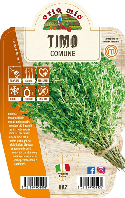 Timo Classico - 1 pianta v.14 cm - Orto Mio Orto Mio (2499132)
