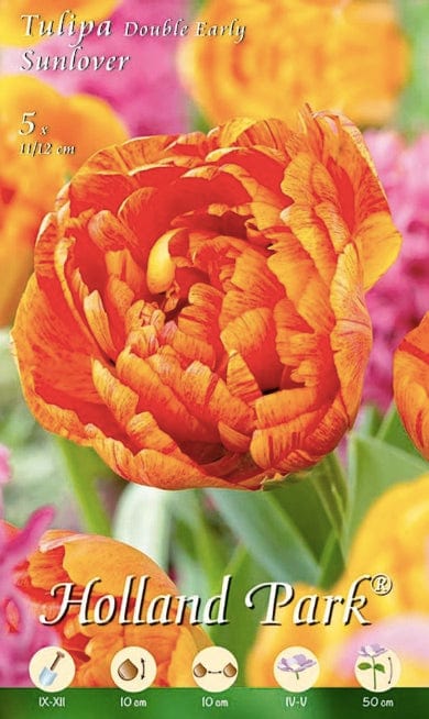 Tulipani Double Early Sunlover - 5 bulbi Fioral (2499368)