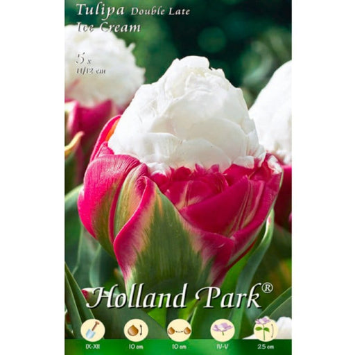 Tulipani Double Late Ice Cream - 5 bulbi Fioral (2499369)