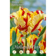 Tulipani Falming Parrot - giallo-rosso - 10 bulbi Fioral (2499370)