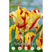Tulipani Falming Parrot - giallo-rosso - 10 bulbi Fioral (2499370)
