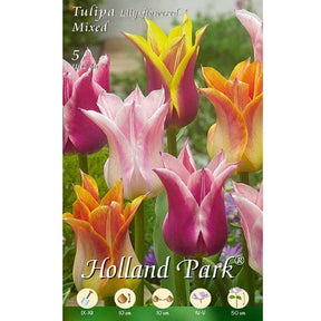 Tulipani Fior di Giglio Mixed (Lily-flowered) - 5 bulbi Fioral (2499371)