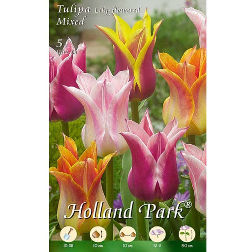 Tulipani Fior di Giglio Mixed (Lily-flowered) - 5 bulbi Fioral (2499371)