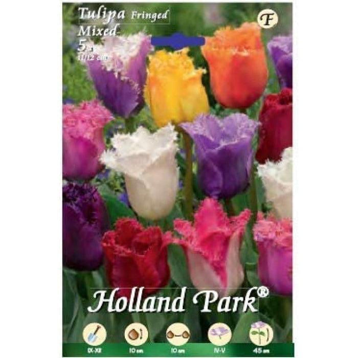 Tulipani Fringed Mixed crespato - 5 bulbi Fioral