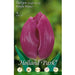 Tulipani Single Early Purple Prince - Viola - 5 bulbi Fioral (2499377)