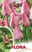 Tulipani stelo lungo Rosa Confetto - Confezione da 5 bulbi Fioral (2499380)
