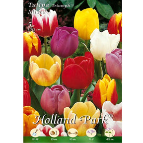Tulipani Triumph Mixed - 5 bulbi Fioral (2499386)