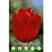 Tulipani Triumph Seadov - Rosso - 5 bulbi Fioral