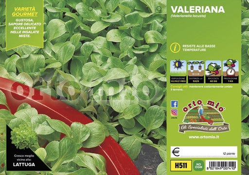 Valeriana Verde Trophy F1 - 9 piante - Orto Mio Orto Mio