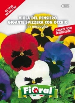 Viola del Pensiero Gigante Svizzera con Occhio Fioral (2499848)