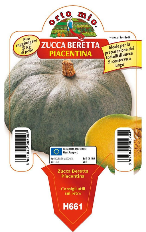 Zucca Beretta piacentina (tipo mantovana) - 1 pianta v.10 cm - Orto Mio Orto Mio (2500078)