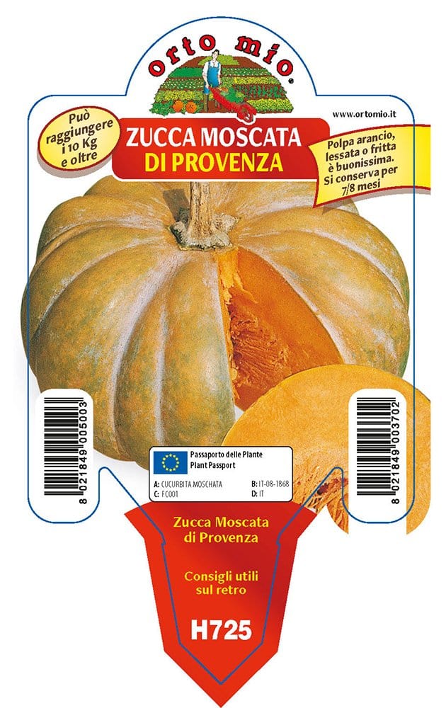 Zucca moscata di Provenza - 1 pianta vaso 10 - Orto Mio Orto Mio (2500089)