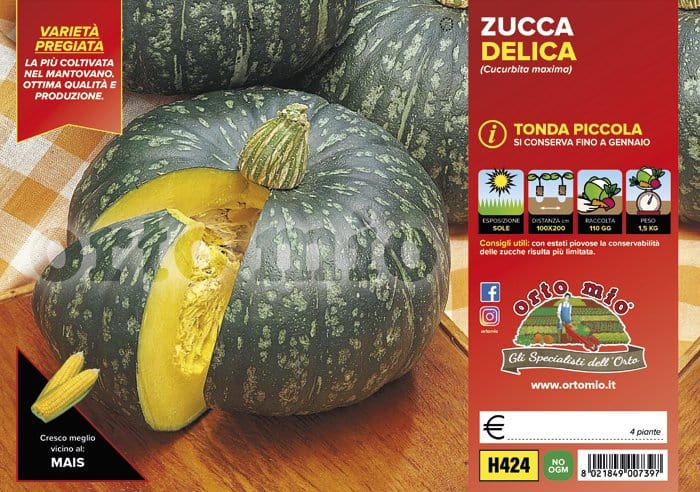 Zucca tonda Delica F1 - 4 piante - Orto Mio Orto Mio (2500093)