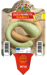 Immagine illustrativa: Zucca Trombetta di Albenga Moana F1. La pianta ricevuta può avere dimensioni e sviluppo diversi.