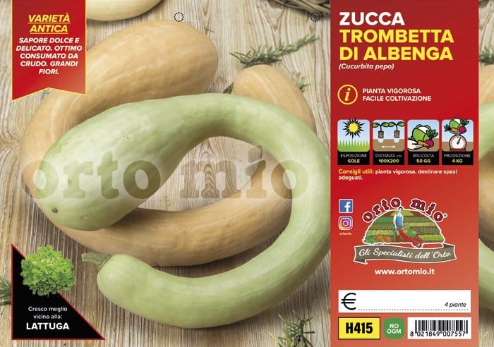 Zucca Trombetta di Albenga - 4 piante - Orto Mio Orto Mio (2500096)