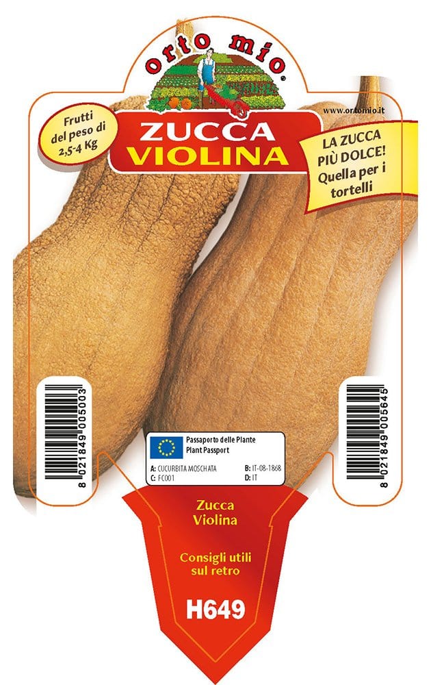 Zucca Violina (da tortelli) - 1 pianta v.10 cm - Orto Mio Orto Mio (2500098)