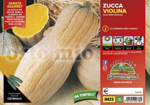 Zucca Violina (da tortelli) - 4 piante - Orto Mio Orto Mio (2500099)