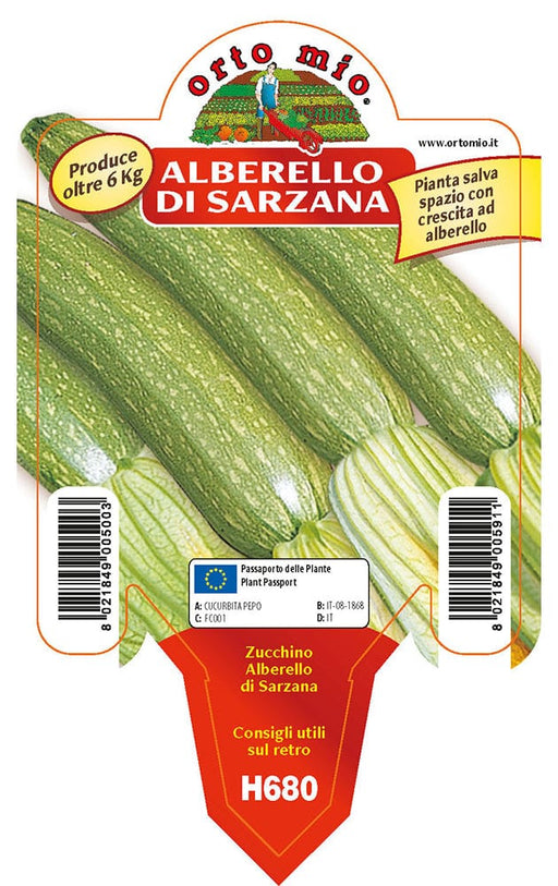 Zucchino alberello di Sarzana Levante F1 - 1 pianta v.10 cm - Orto Mio Orto Mio (2500101)