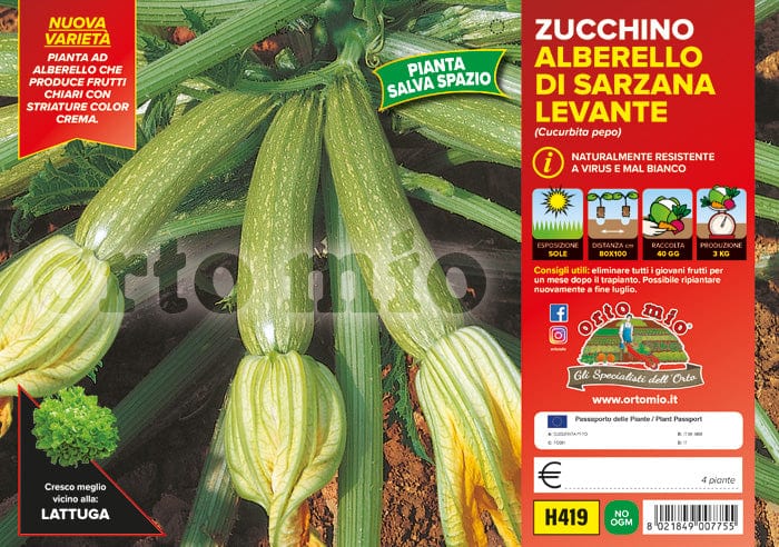 Zucchino alberello di Sarzana Levante F1 - 4 piante - Orto Mio Orto Mio (2500102)