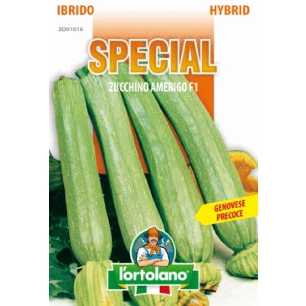 Zucchino Amerigo F1 - L'ortolano L'Ortolano (2500103)