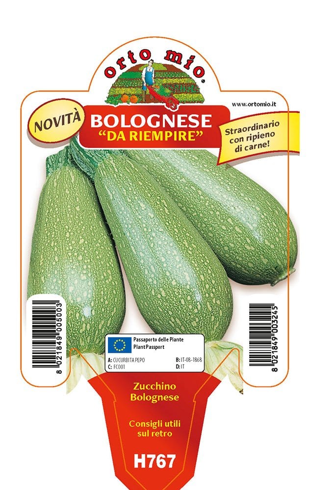 Zucchino bolognese da riempiere Mexicana F1 - 1 pianta v.10 cm - Orto Mio Orto Mio (2500104)