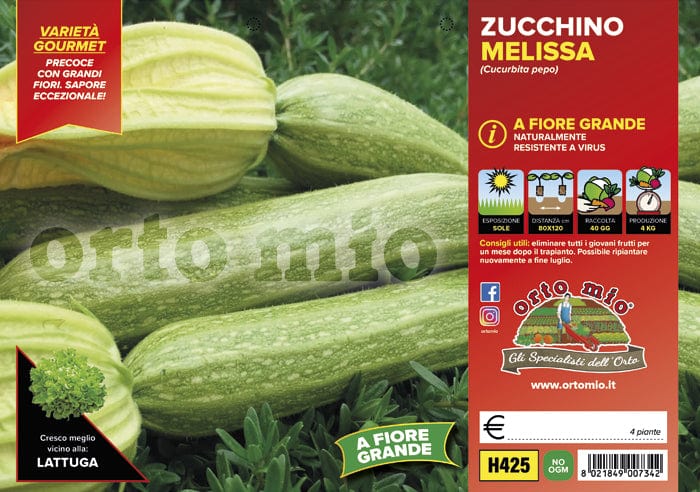 Zucchino chiaro con fiore Melissa F1 - 4 piante - Orto Mio Orto Mio (2500106)