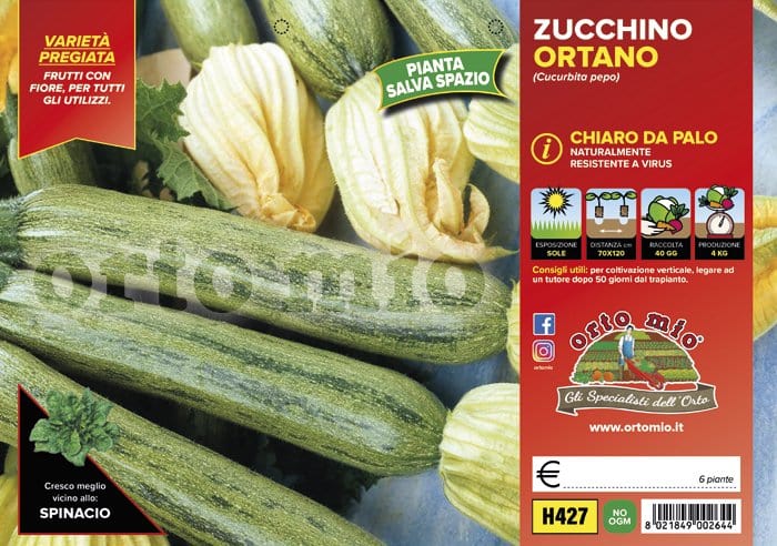 Zucchino chiaro da palo Ortano F1-Strike F1 - 4 piante - Orto Mio Orto Mio (2500108)