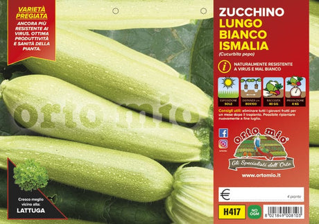 Zucchino lungo bianco Ismalia F1 - 4 piante - Orto Mio Orto Mio (2500118)